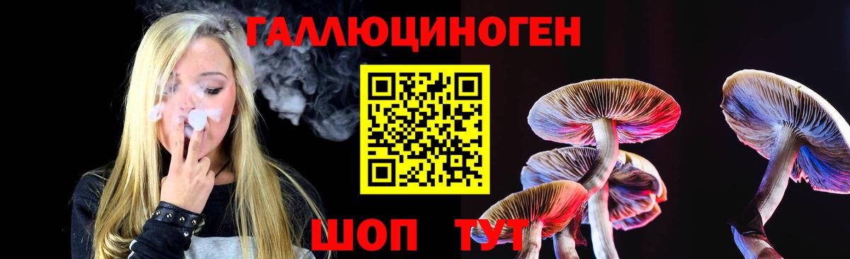 Галлюциногенные грибы Cubensis Сертолово